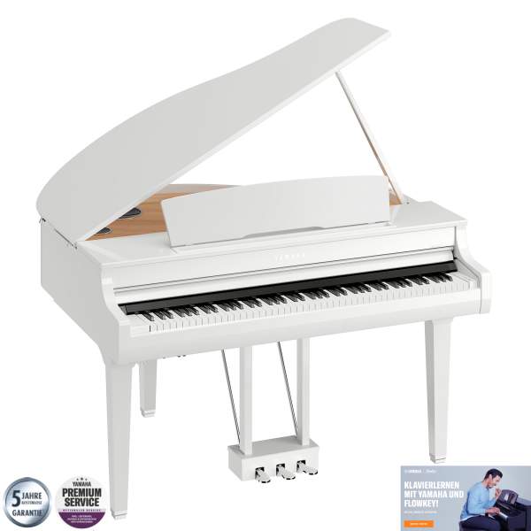 CSP-295 GP WH