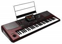 PA-1000 Arranger Keyboard inkl. großes Set nach Wahl