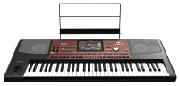 PA-700 Arranger Keyboard inkl. großes Set nach Wahl