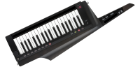 RK-100S2-TBK Keytar schwarz Umhängekeyboard
